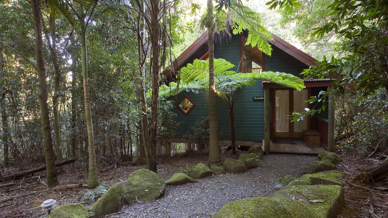 Photo of Outdoor in Springbrook