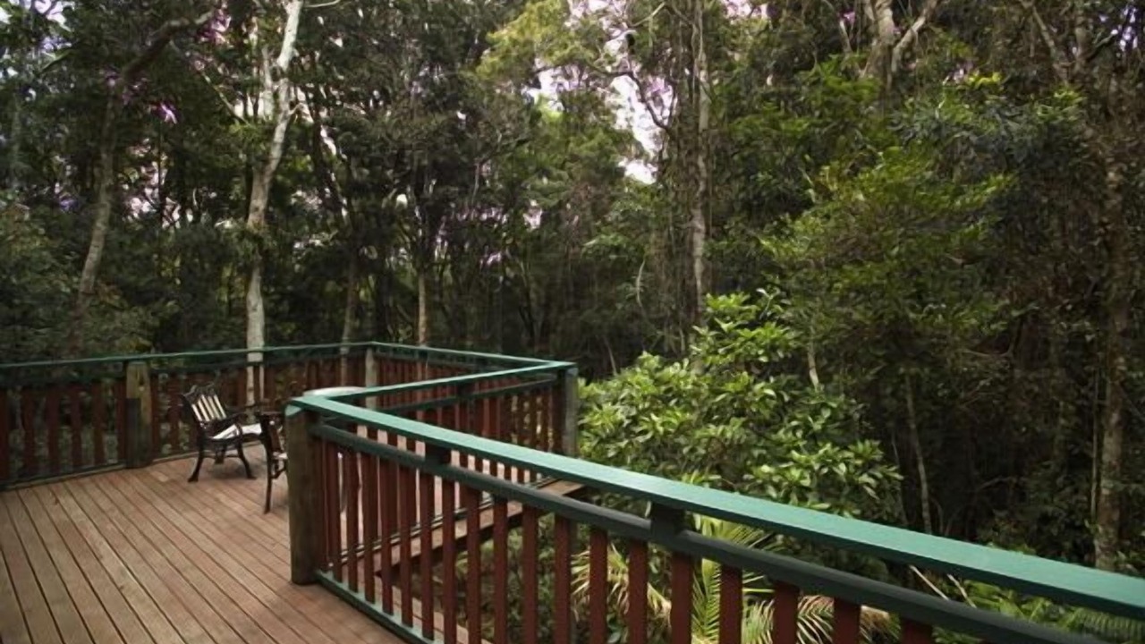 Photo of Patio Balcony in Springbrook