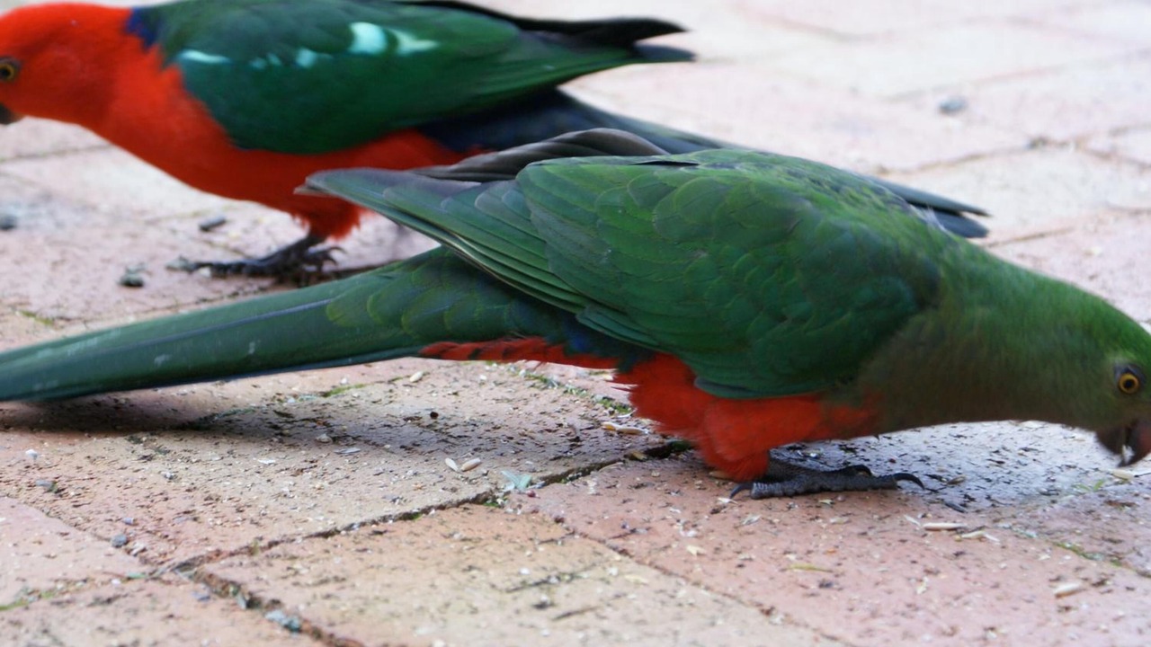 Photo of Outdoor in Bundanoon