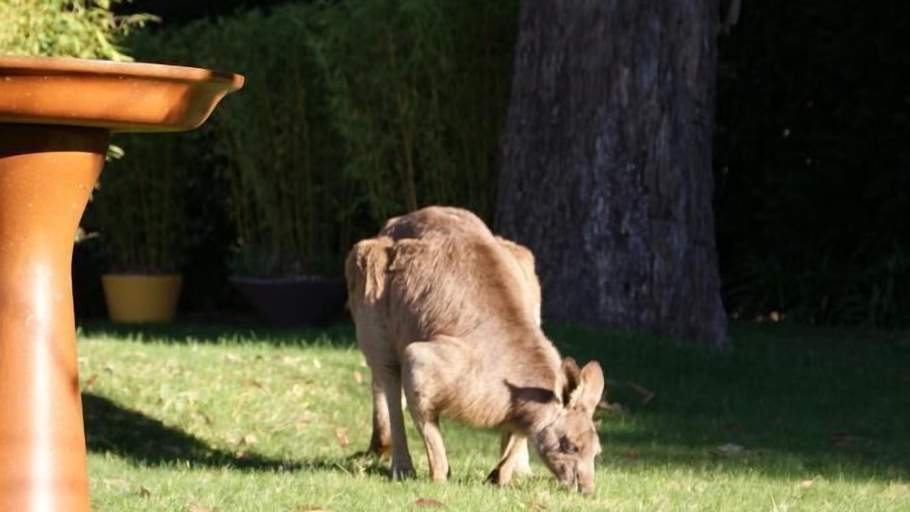 Photo of Outdoor in Bundanoon