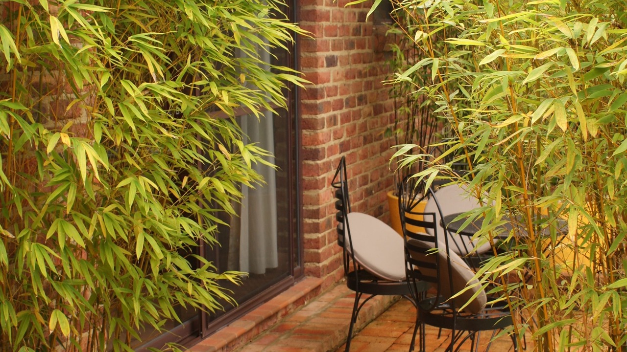 Photo of Patio Balcony in Bundanoon