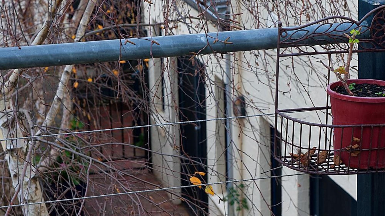 Photo of Outdoor in Port Fairy