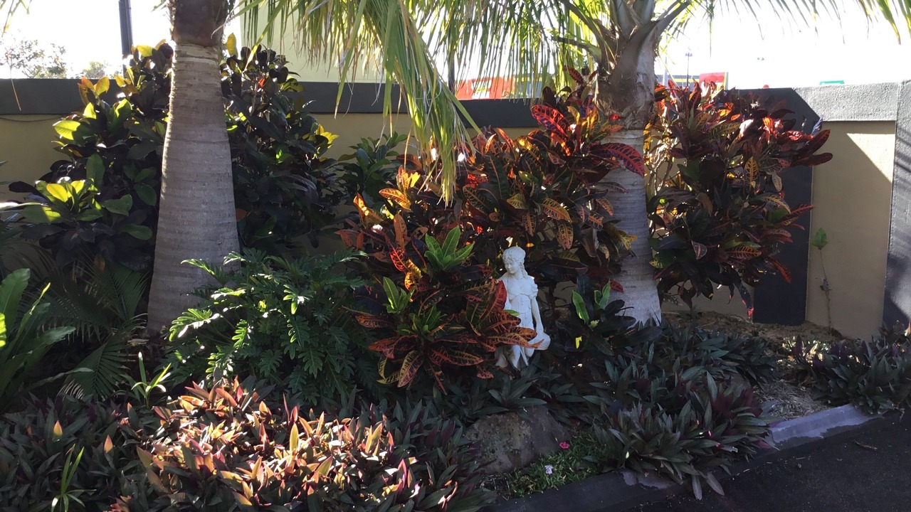 Photo of Outdoor in Svensson Heights