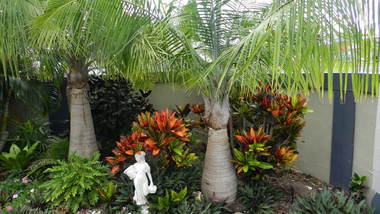 Photo of Outdoor in Svensson Heights