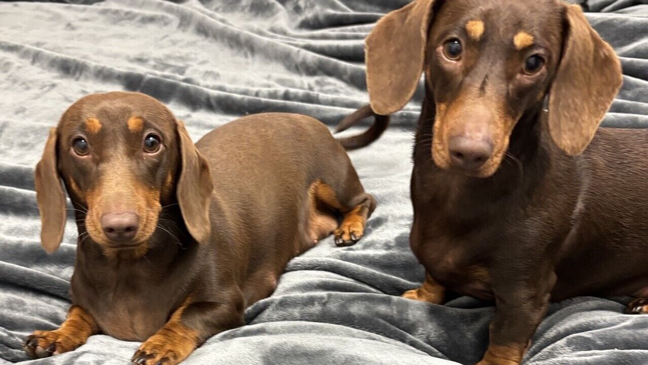 Photo of Bedroom in Foster
