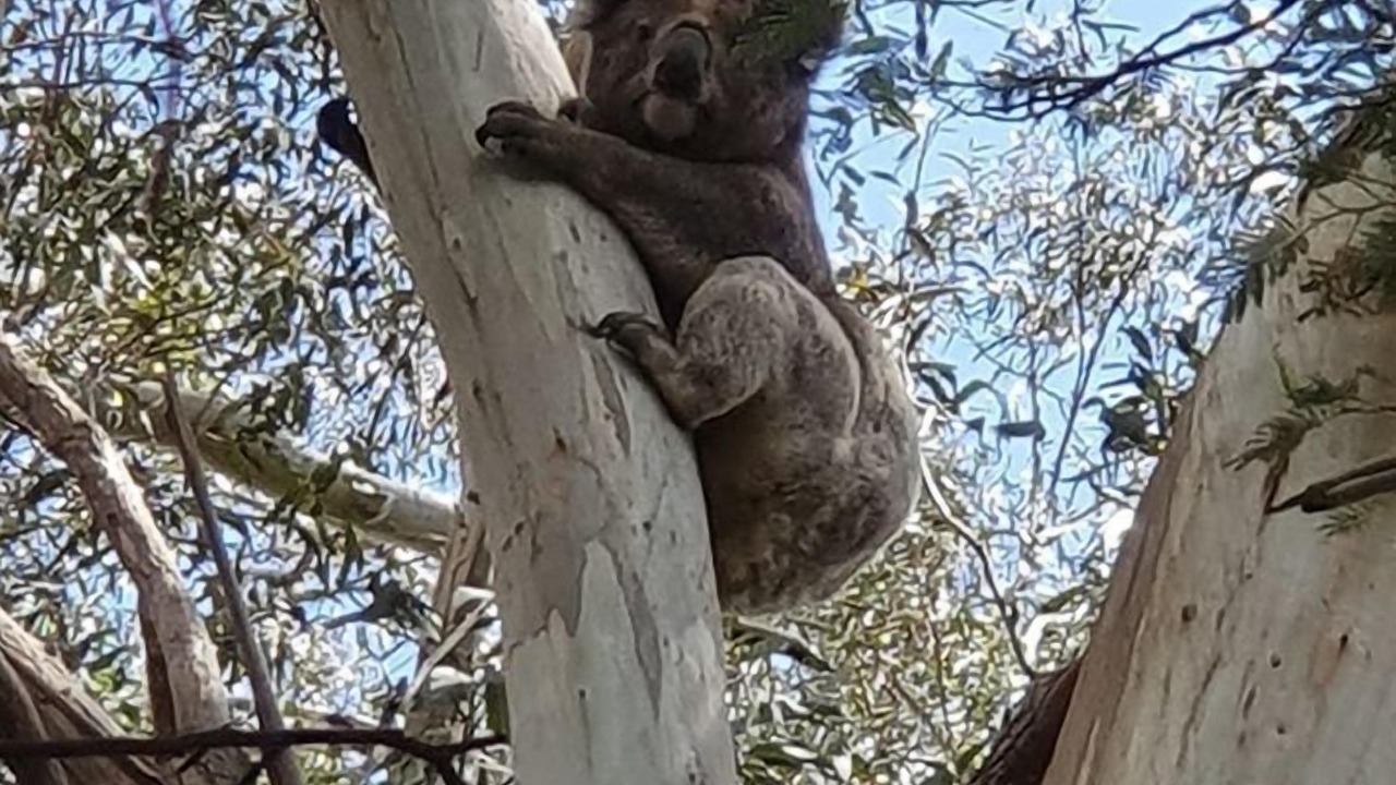 Photo of Outdoor in Foster