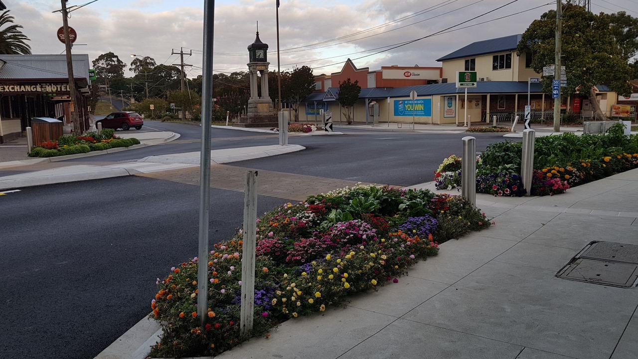 Photo of Others in Foster