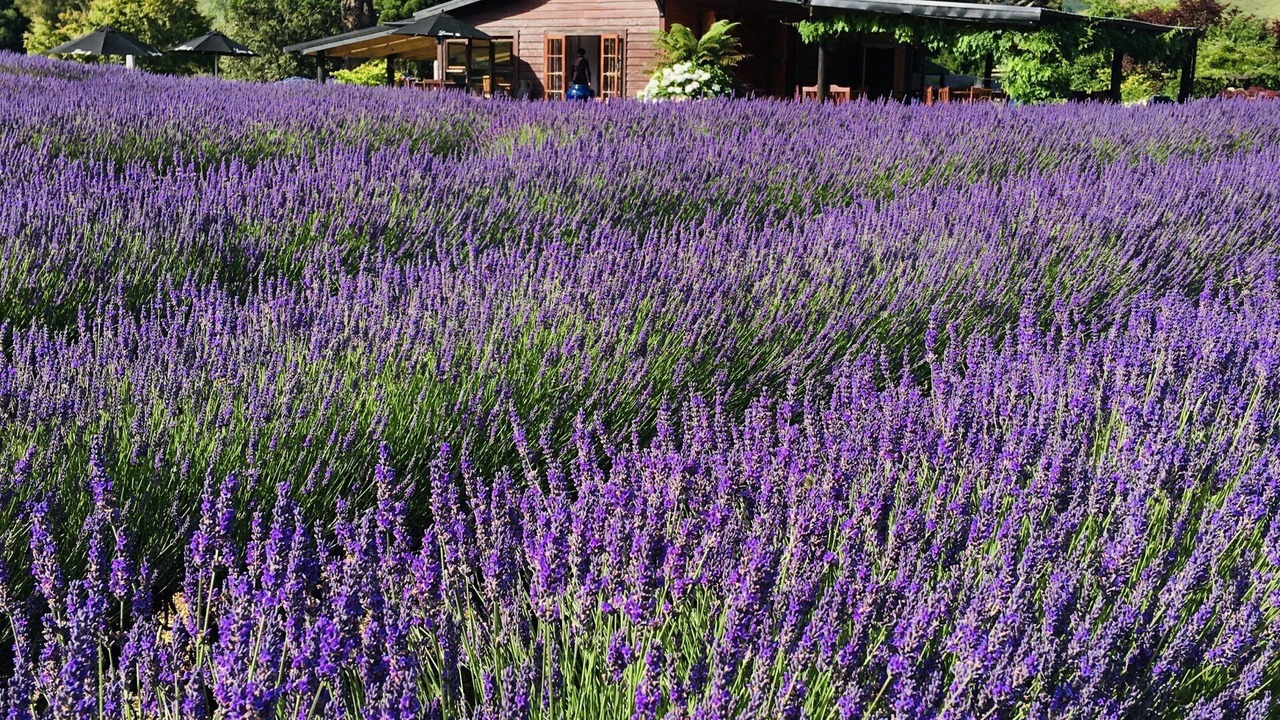 Photo of Others in Taumarunui