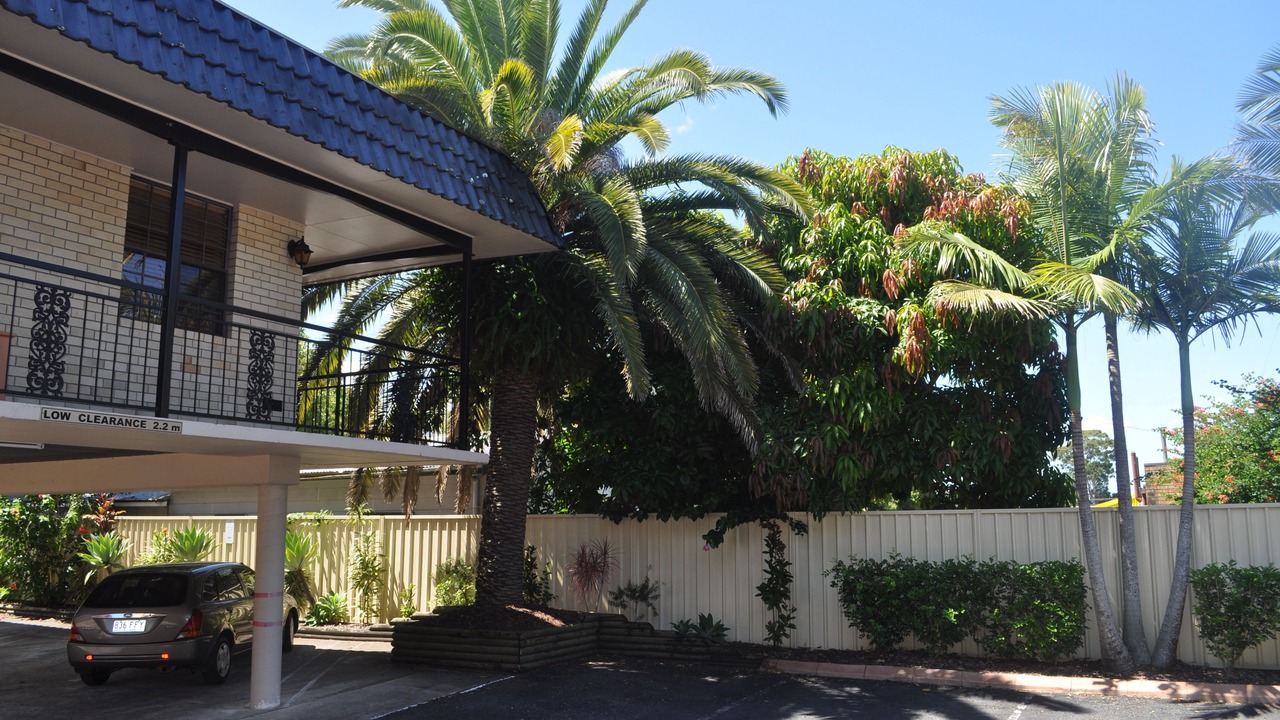 Photo of Others in Taree