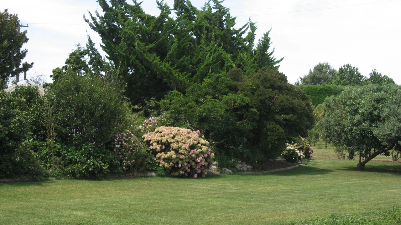 Photo of Others in Longlands