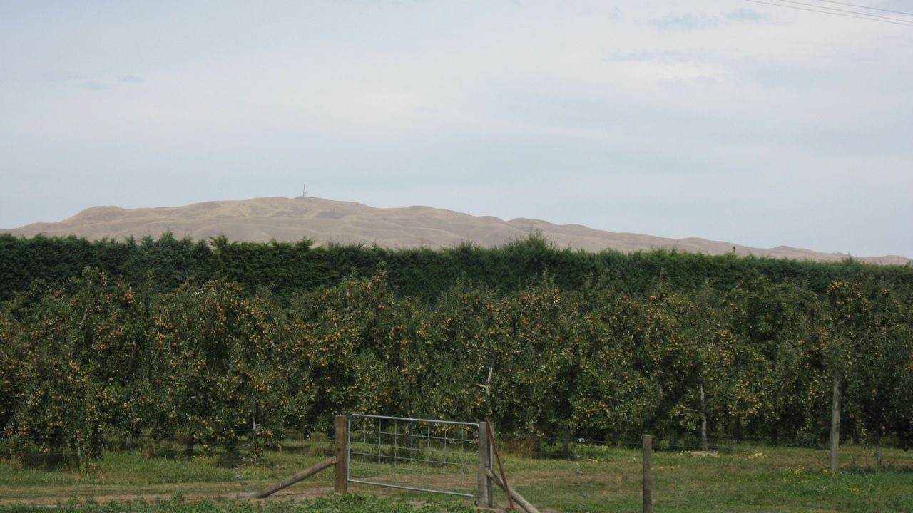 Photo of Others in Longlands