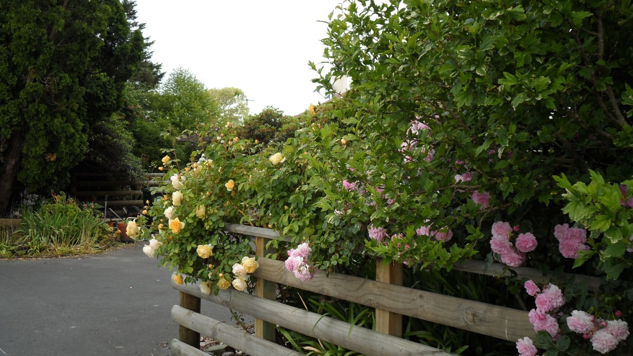 Photo of Outdoor in Longlands