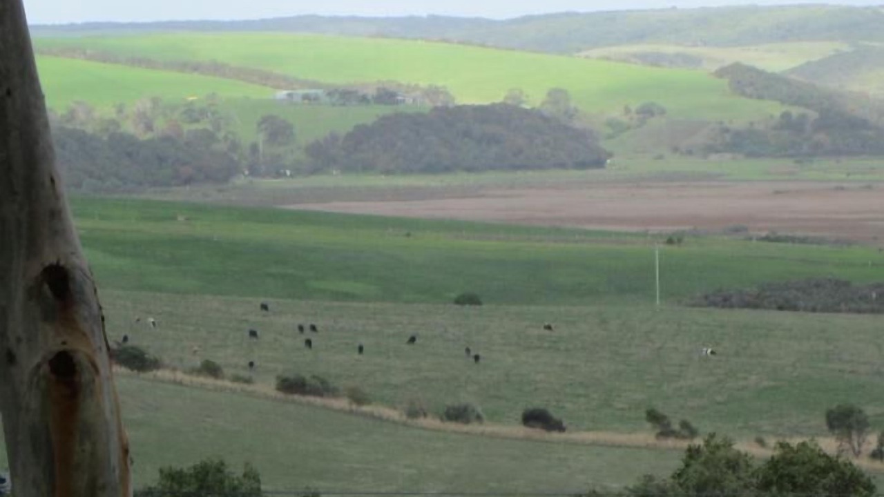 Photo of Others in Princetown