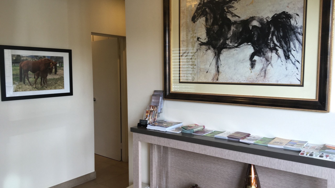 Photo of Others in Singleton