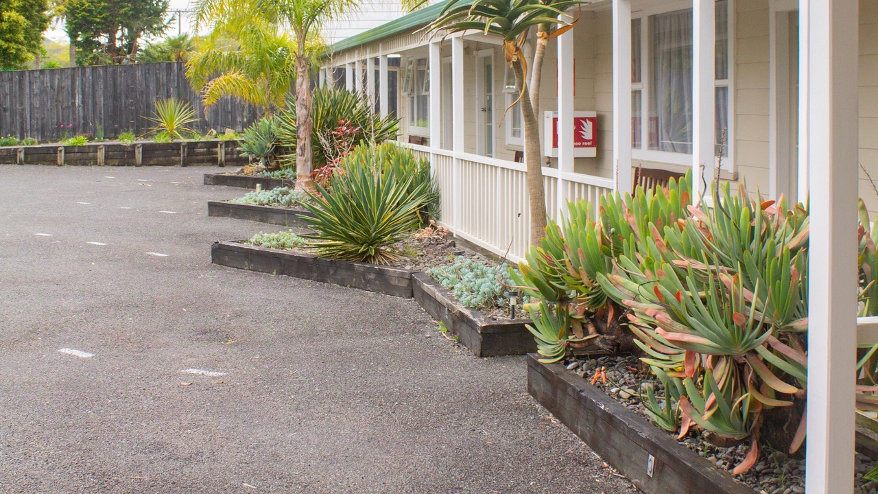 Photo of Outdoor in Waihi