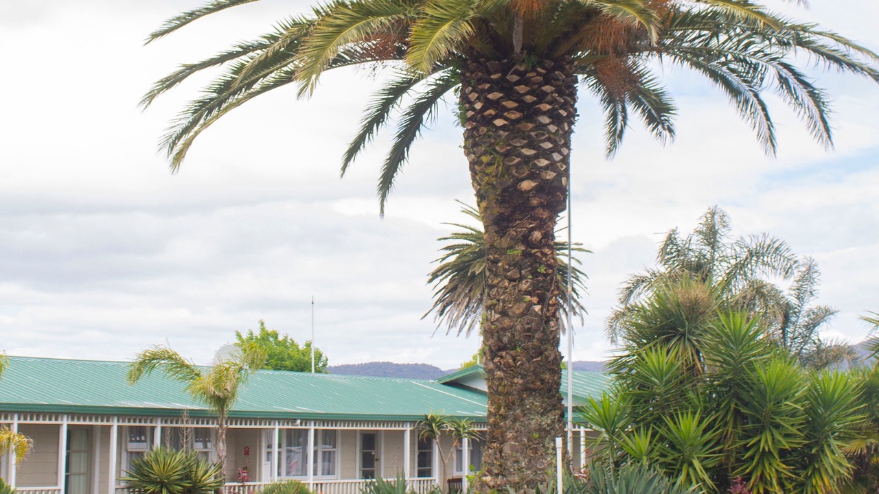 Photo of Outdoor in Waihi