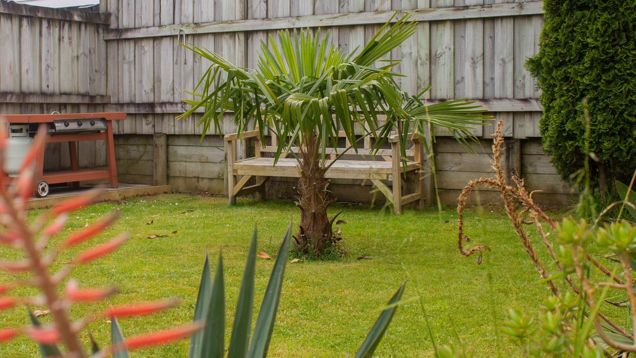 Photo of Outdoor in Waihi