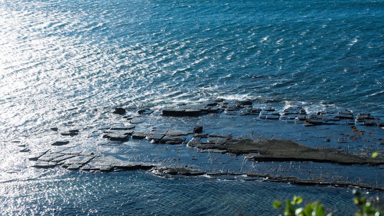 Photo of Others in Mollymook