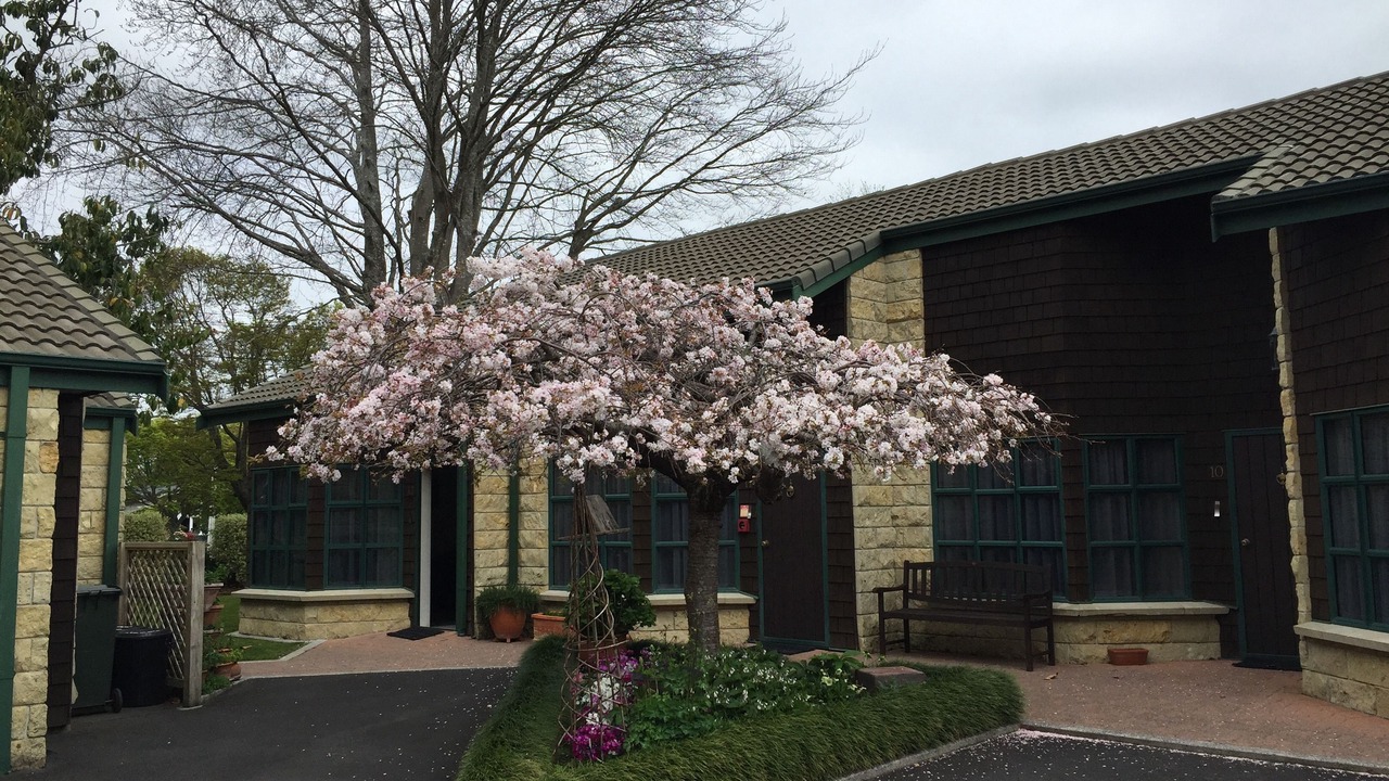 Photo of Outdoor in Cambridge