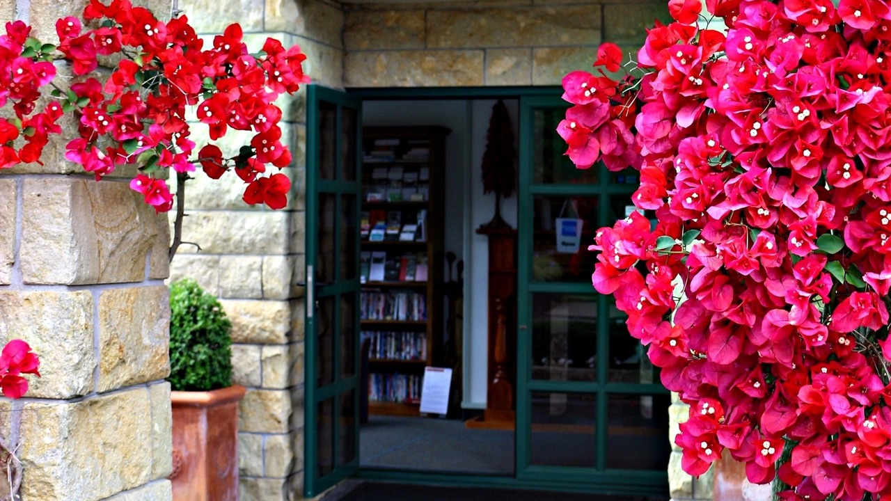 Photo of Others in Cambridge