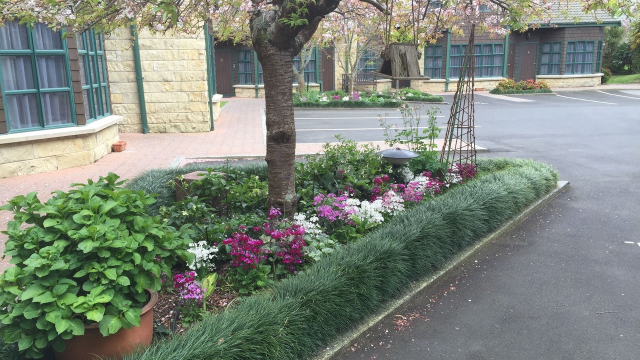 Photo of Outdoor in Cambridge