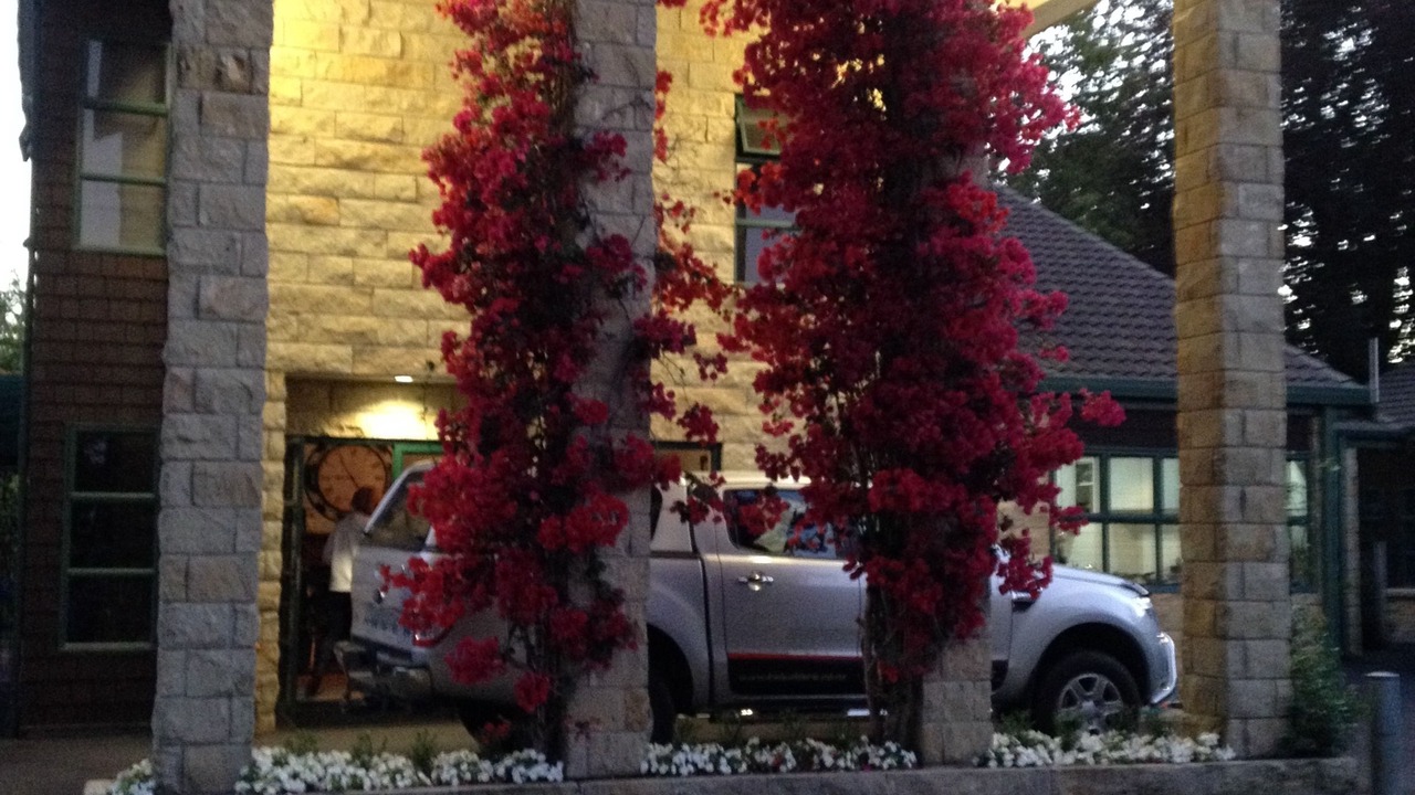 Photo of Outdoor in Cambridge