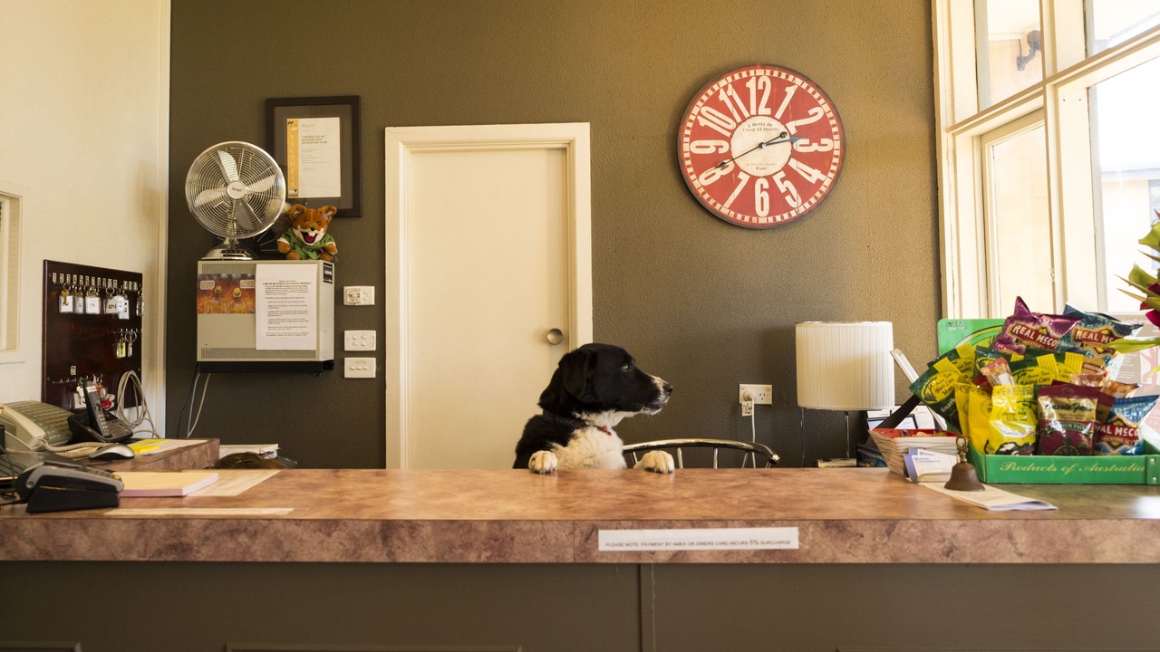 Photo of Others in Traralgon