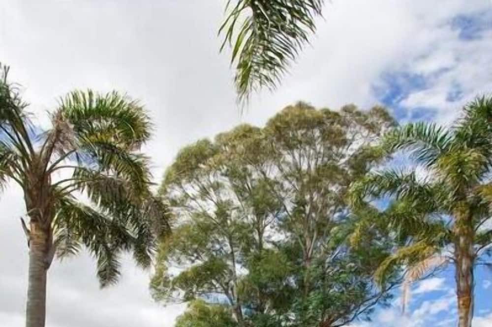 Photo of Outdoor in Moruya