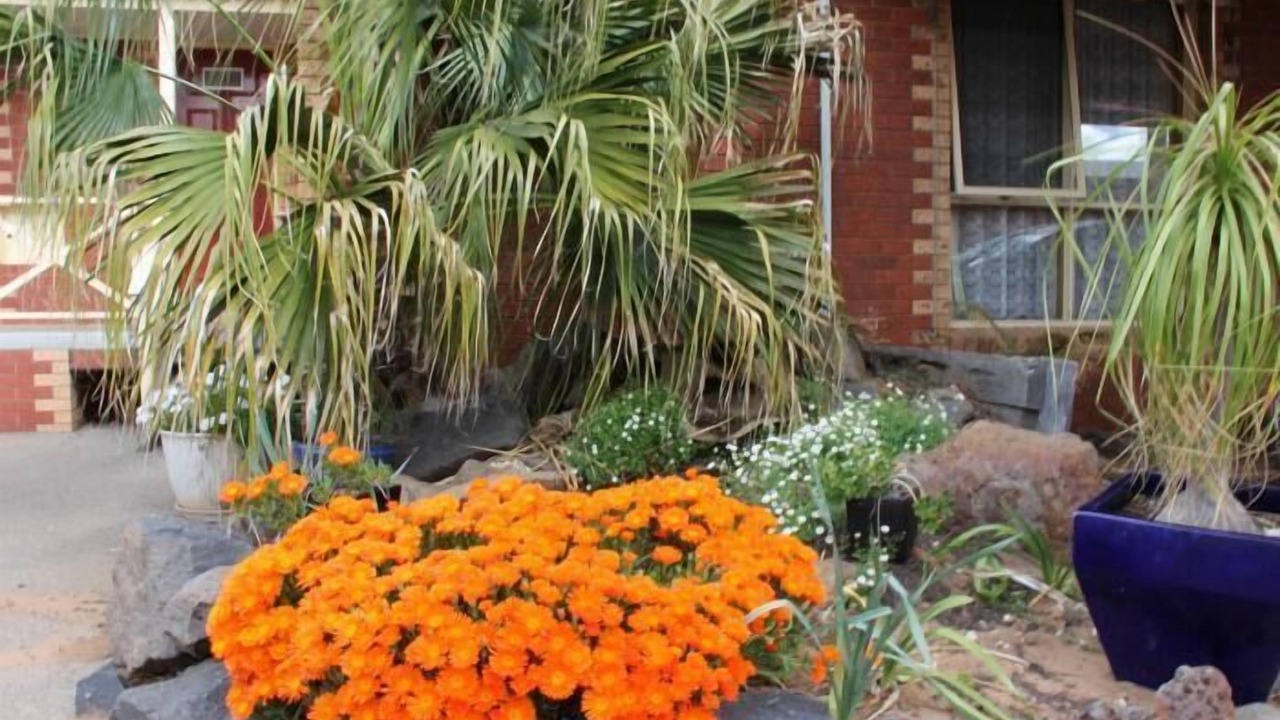 Photo of Outdoor in Echuca