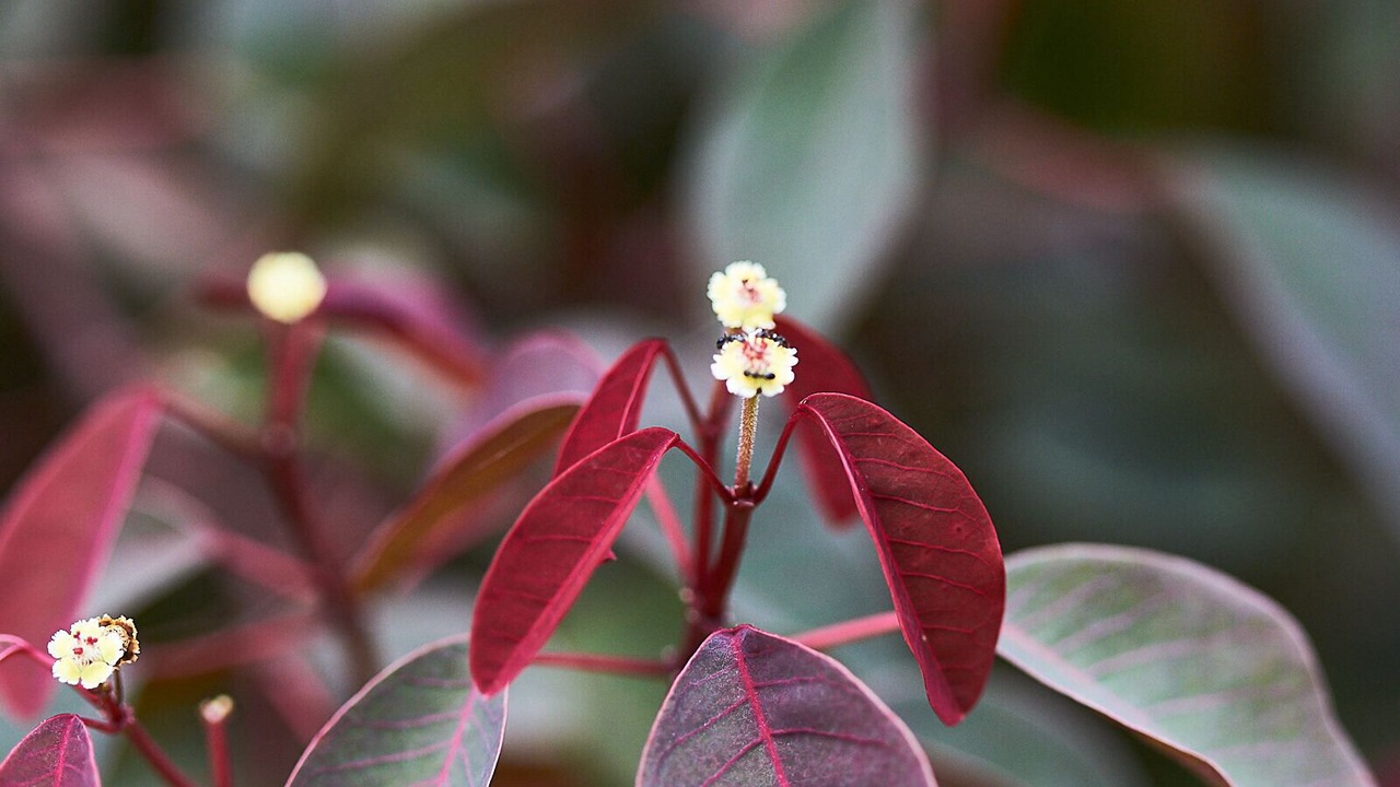 Photo of Outdoor in Dum Dum