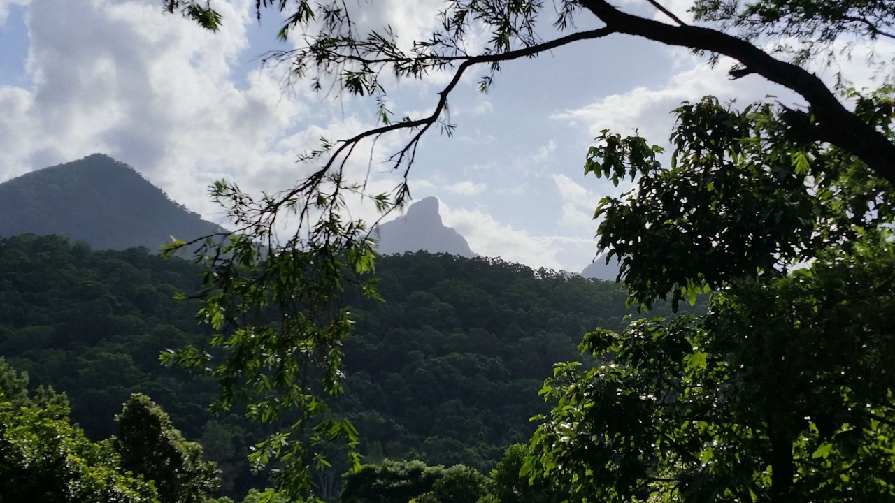 Photo of Others in Dum Dum