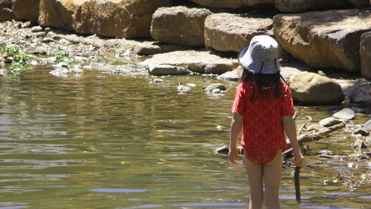 Photo of Others in Wye River