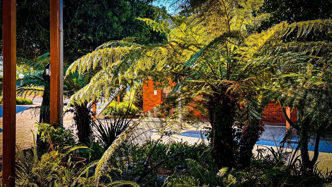 Photo of Outdoor in Tawonga