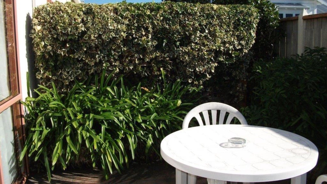 Photo of Patio Balcony in Hastings