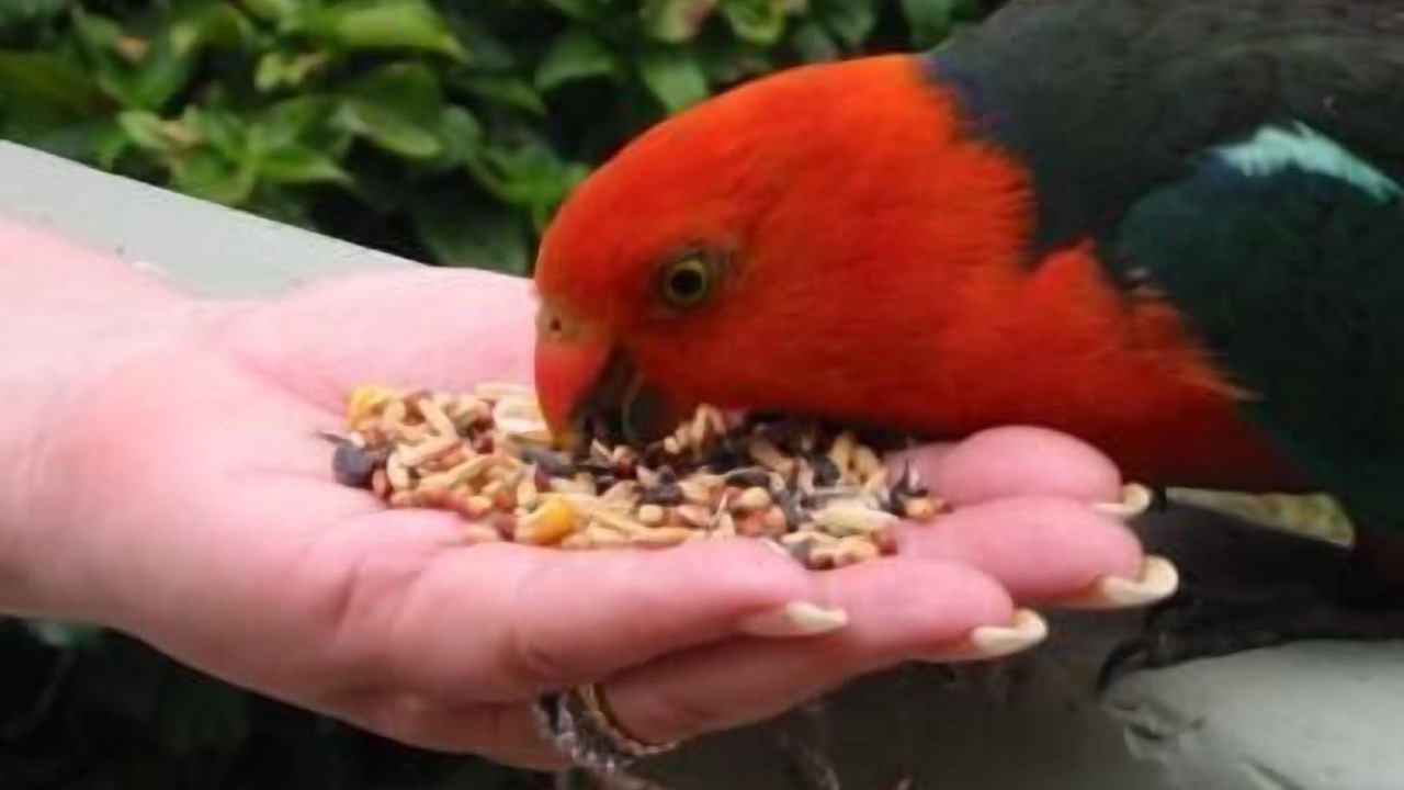Photo of Others in Bonnie Doon