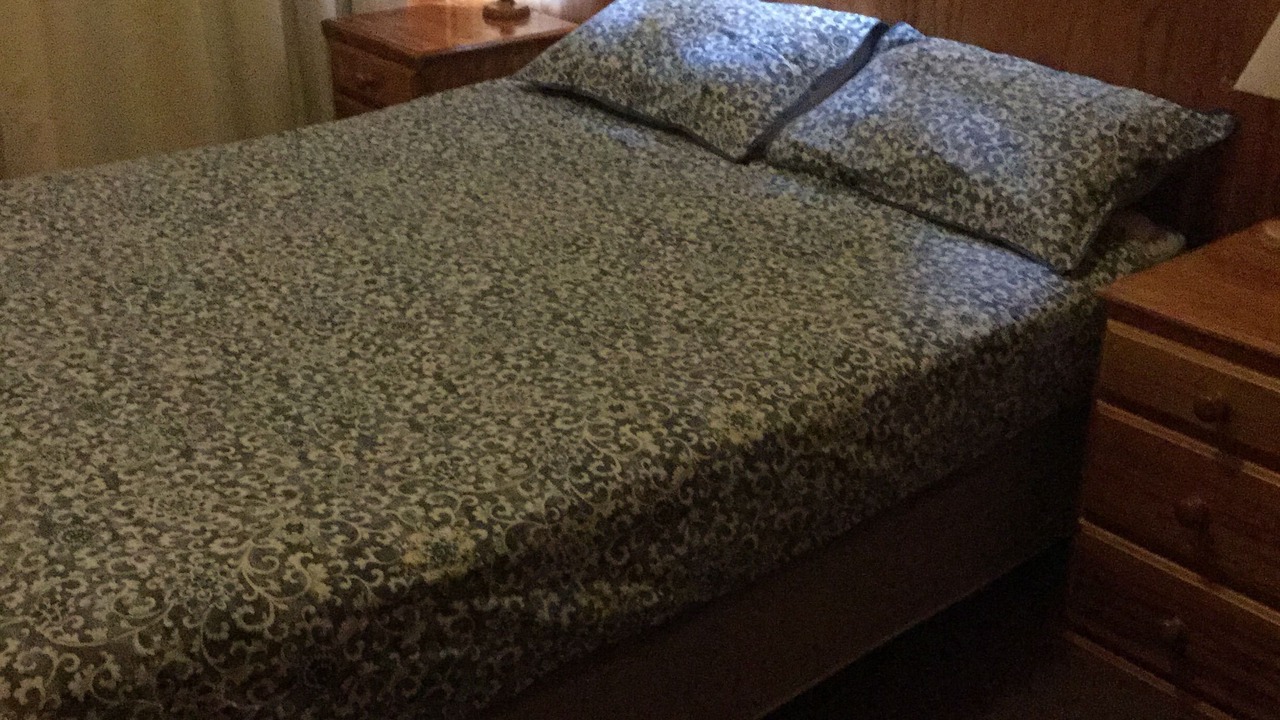 Photo of Others in Jenolan