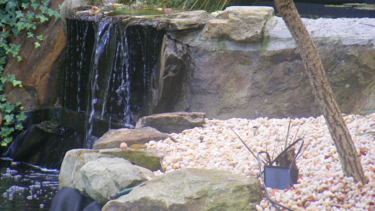 Photo of Others in Rye