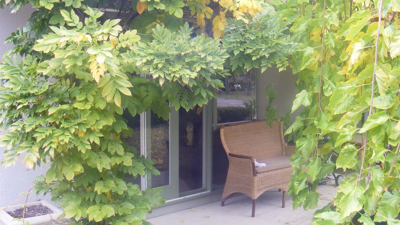 Photo of Others in Rye