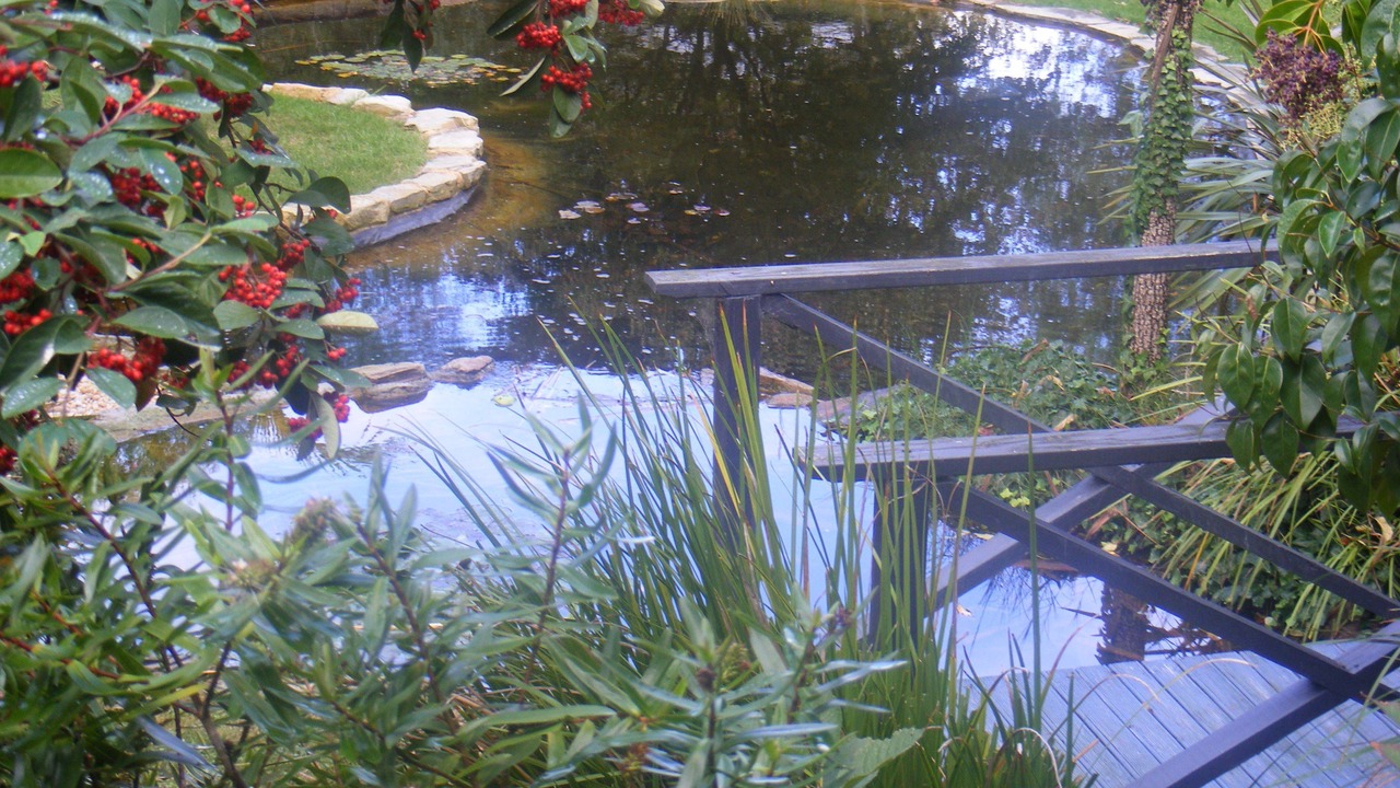 Photo of Others in Rye