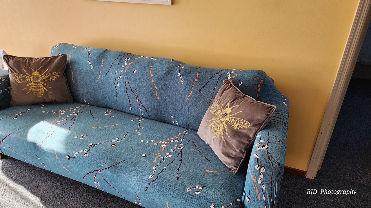 Photo of Others in Ashburton