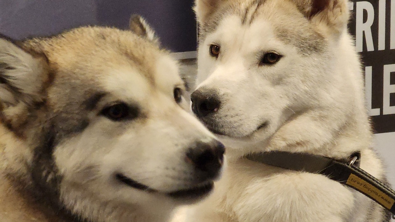 Photo of Others in Ashburton