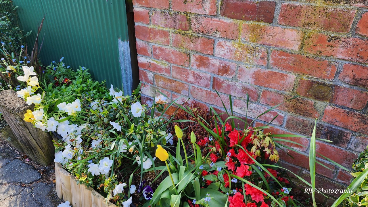 Photo of Outdoor in Ashburton