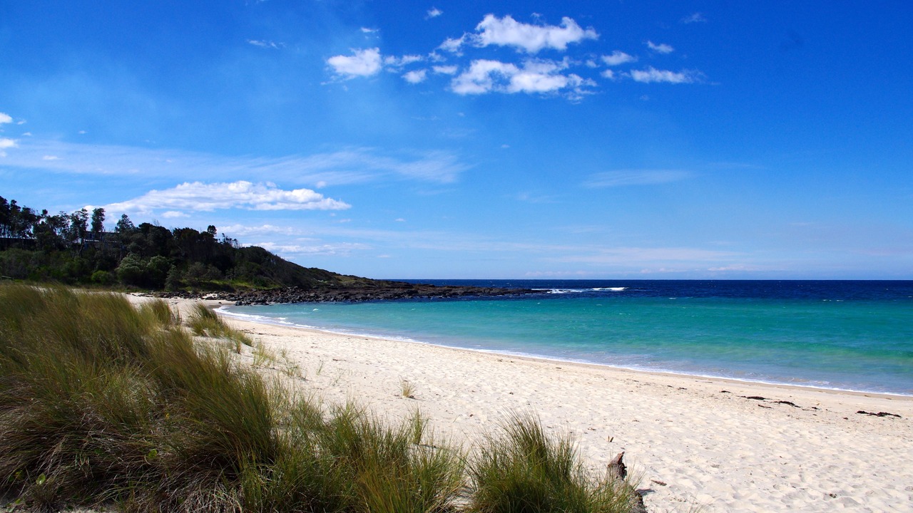 Photo of Others in Bawley Point