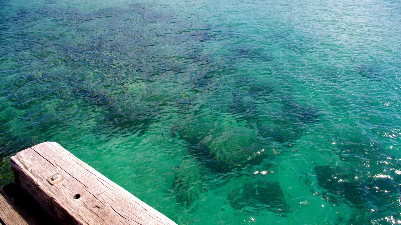 Photo of Others in Bawley Point