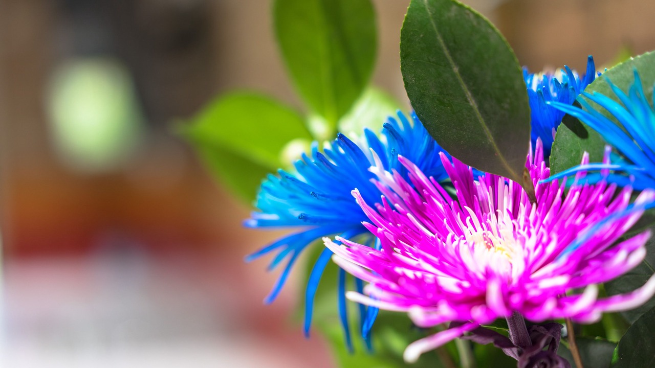 Photo of Outdoor in Morwell