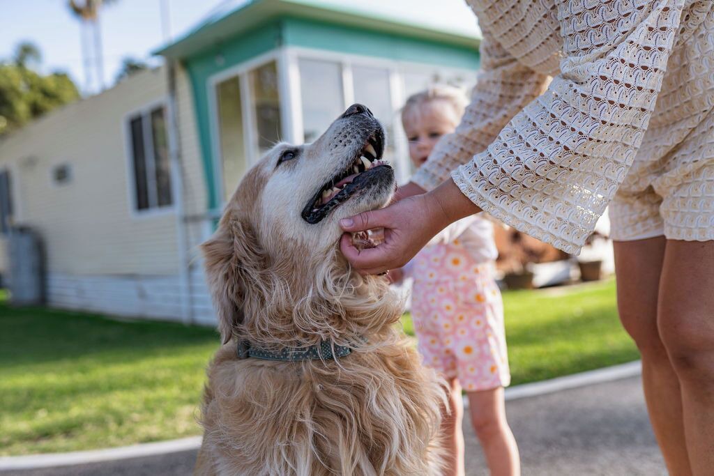 Photo of Others in Tomakin