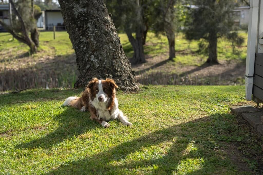 Photo of Others in Tomakin