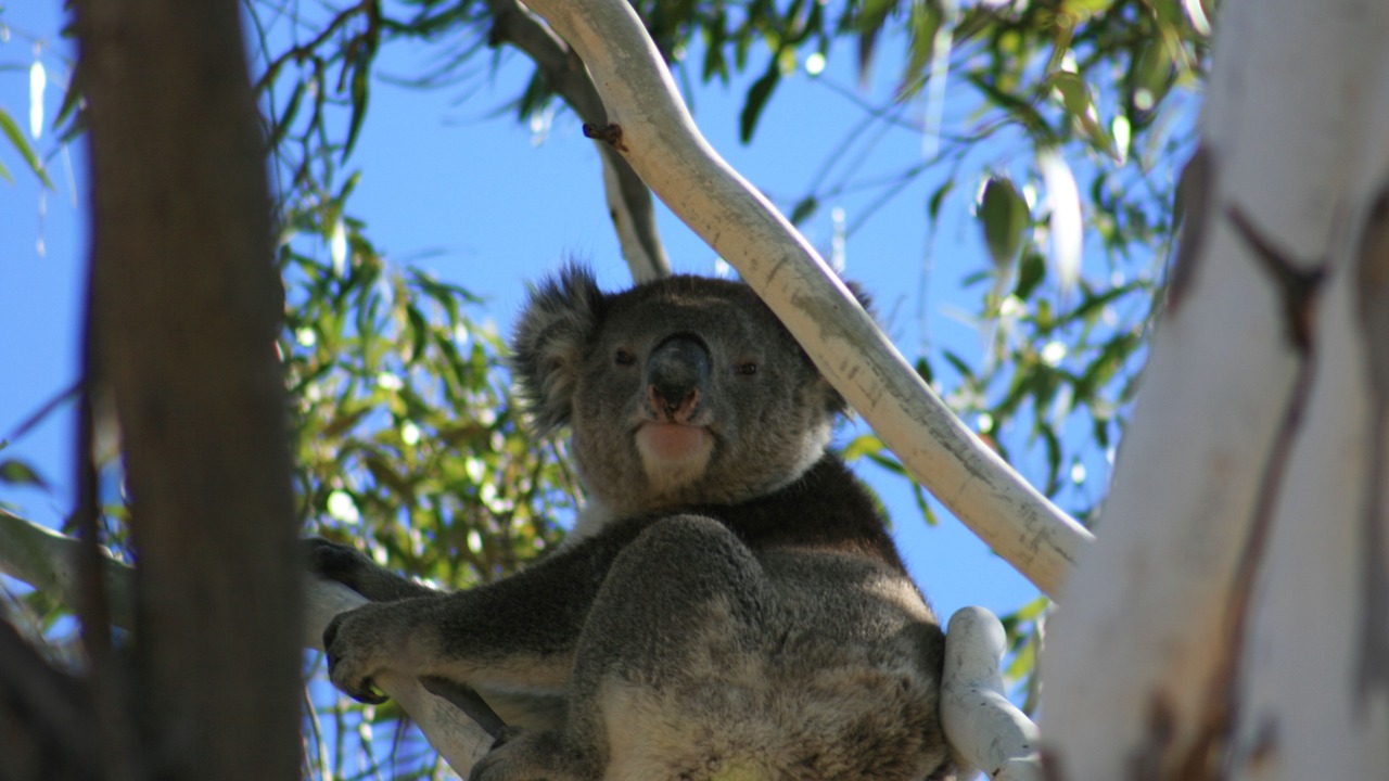 Photo of Outdoor in Vale Park
