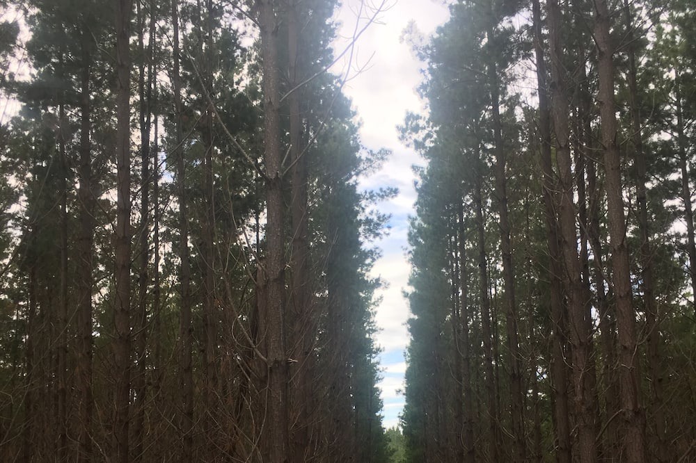 Photo of Others in Cape Jervis