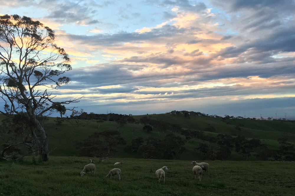 Photo of Others in Cape Jervis
